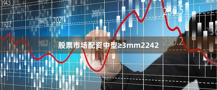 股票市场配资中型≥3mm2242