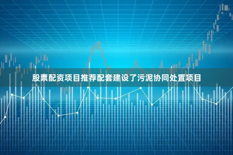 股票配资项目推荐配套建设了污泥协同处置项目