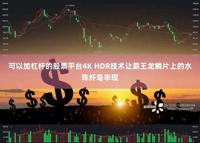 可以加杠杆的股票平台4K HDR技术让霸王龙鳞片上的水珠纤毫毕现