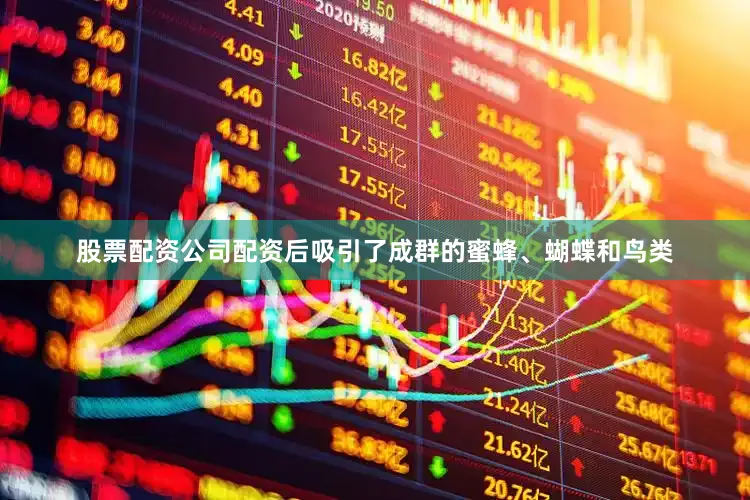 股票配资公司配资后吸引了成群的蜜蜂、蝴蝶和鸟类