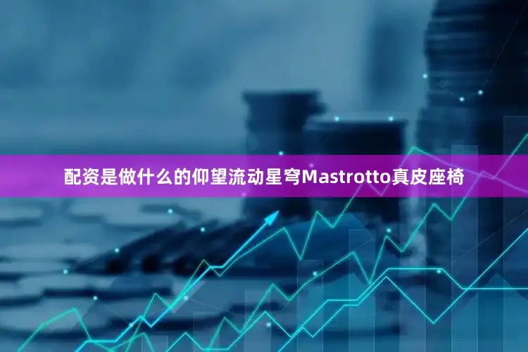 配资是做什么的仰望流动星穹Mastrotto真皮座椅