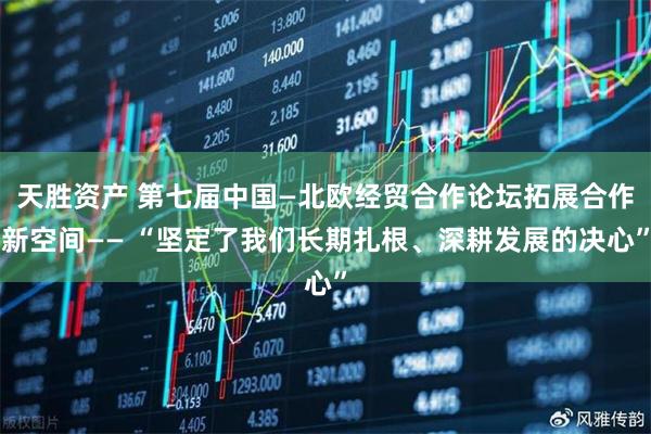 天胜资产 第七届中国—北欧经贸合作论坛拓展合作新空间—— “坚定了我们长期扎根、深耕发展的决心”