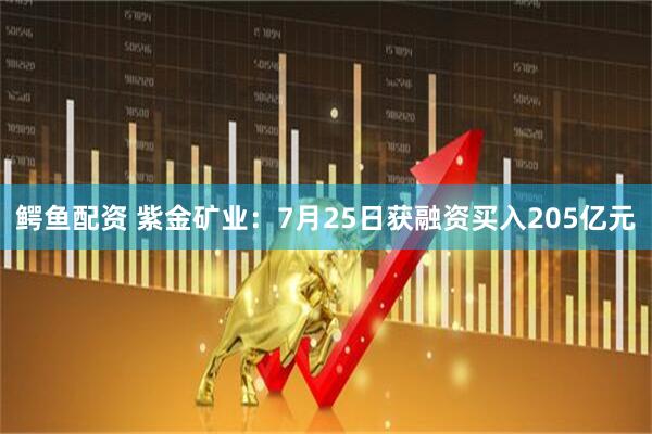 鳄鱼配资 紫金矿业：7月25日获融资买入205亿元