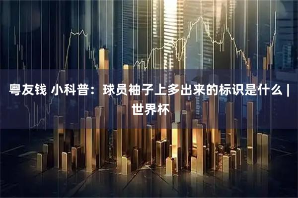 粤友钱 小科普：球员袖子上多出来的标识是什么 | 世界杯